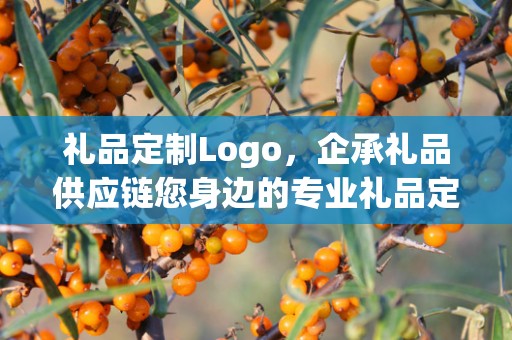 礼品定制Logo，企承礼品供应链您身边的专业礼品定制公司